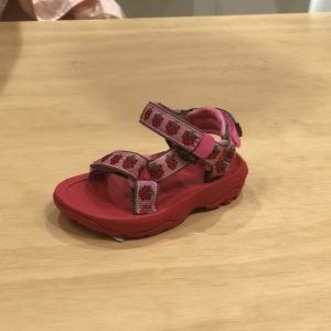 Teva