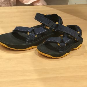 Teva